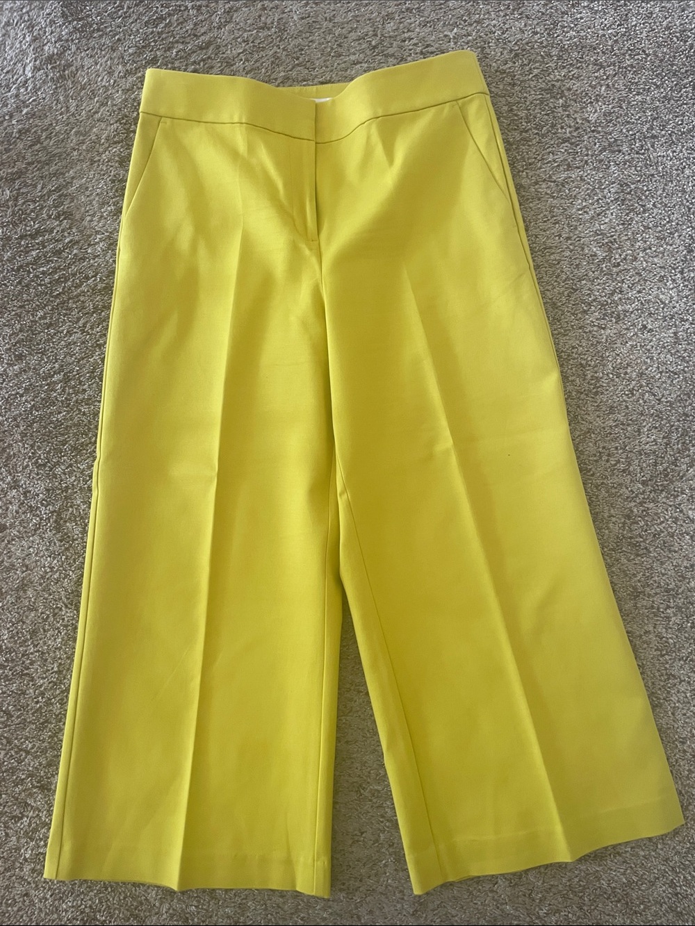 LOFT Wide-Leg Tailored Pants Size 10